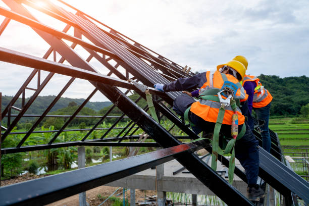 Best Roof Gutter Cleaning  in Balfour, NC