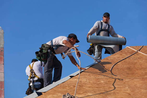 Best Flat Roof Repair Services  in Balfour, NC