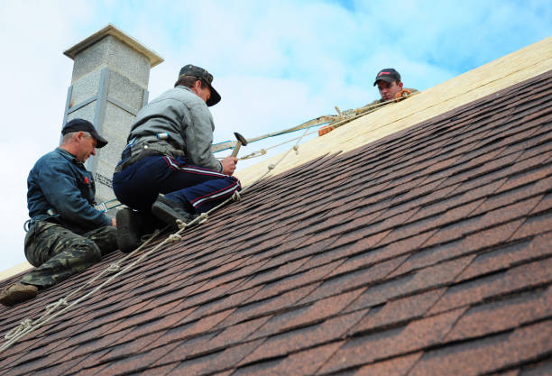 Reliable Balfour, NC Roofing Contractor Solutions
